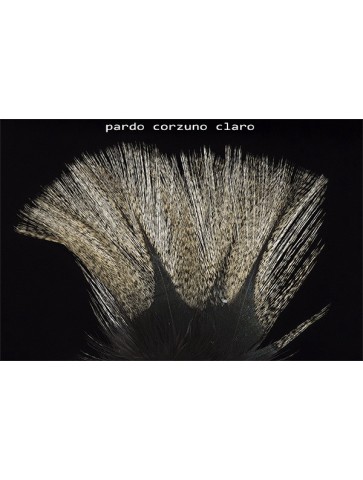 Coq de Leon Pardo • Natural Feathers
